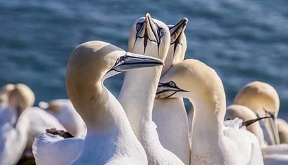 九游（jiuyou.com）游戏-河南建业主场击败南昌八一队，取得三连胜，河南建业球队最新消息