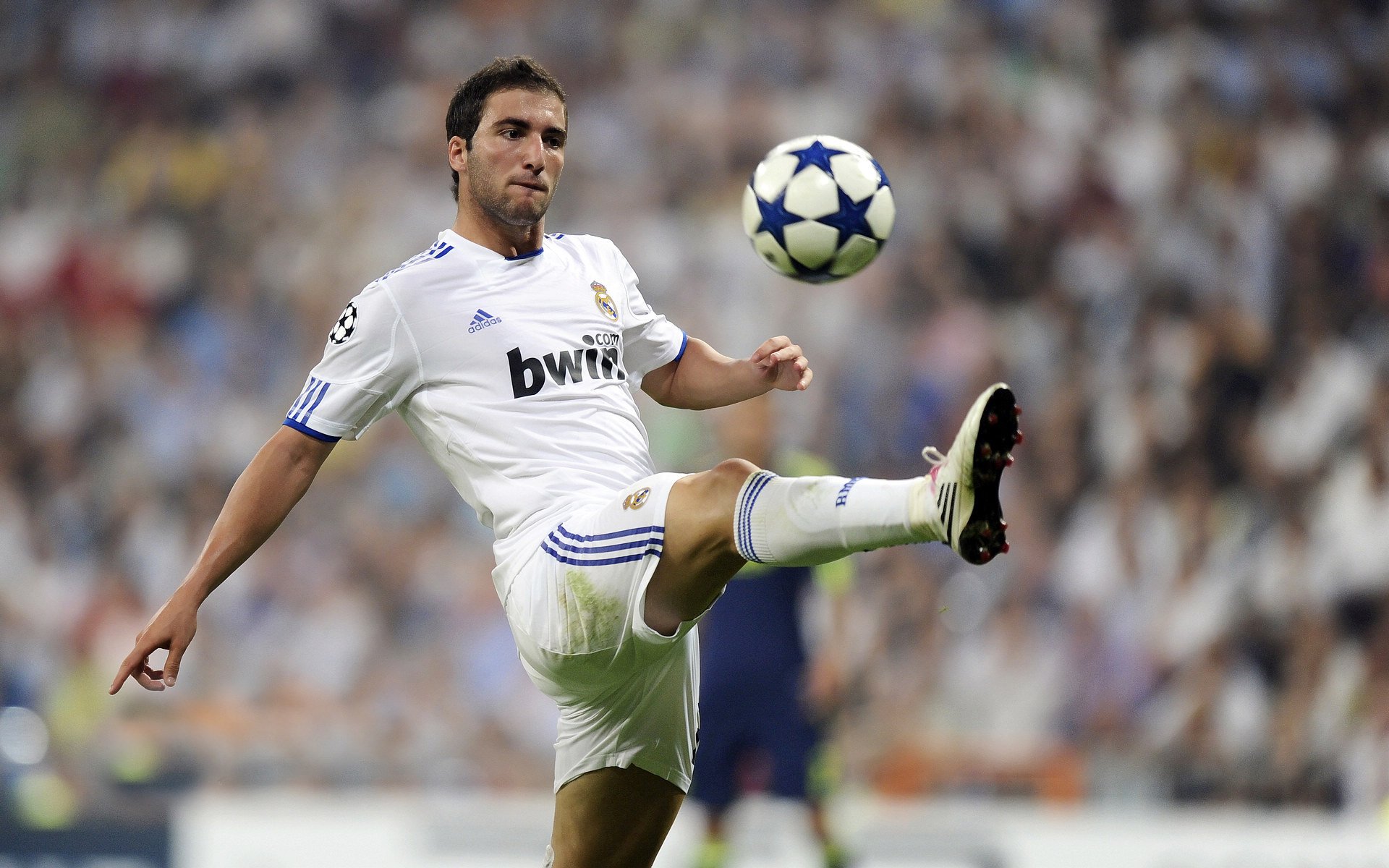 未来“欧洲霸主”：新兴豪门的崛起路径，生机勃勃的新欧洲正在崛起